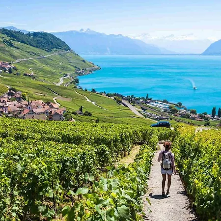 Baron Tavernier Restaurant & Отель