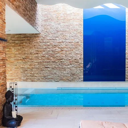 Baron Tavernier Restaurant&spa 4* Chexbres