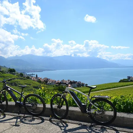 Baron Tavernier Restaurant & シュブル