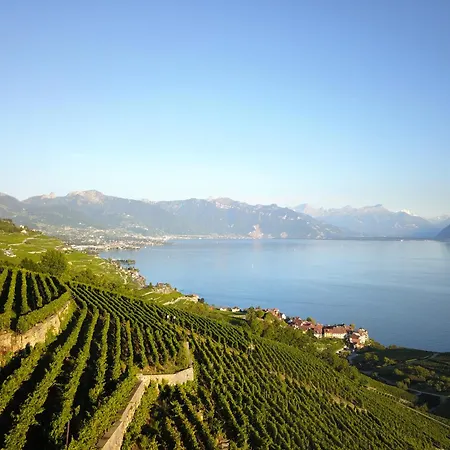 Baron Tavernier Restaurant &