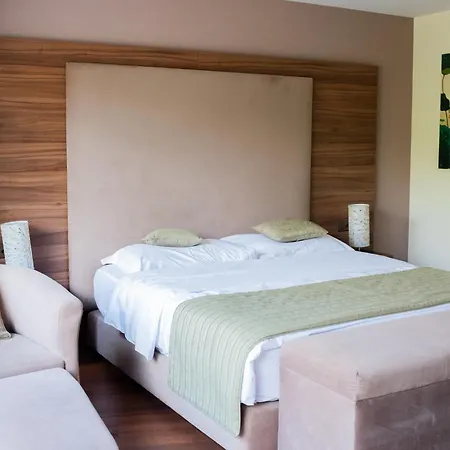 Hotel Baron Tavernier Restaurant&spa 4*