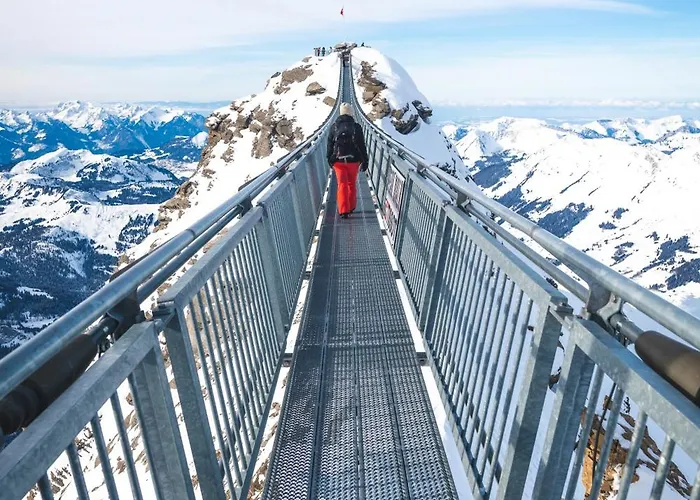 Baron Tavernier Restaurant & شيرشبريس