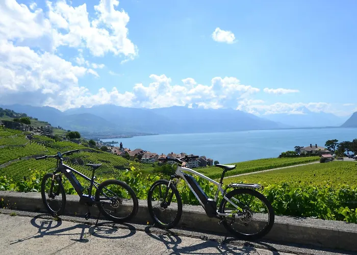 Baron Tavernier Restaurant & Chexbres