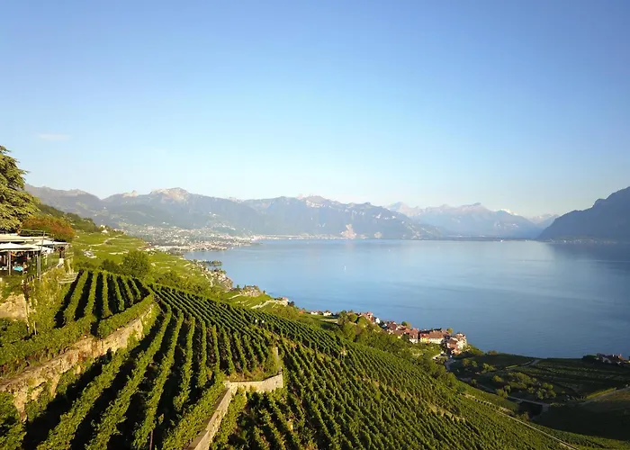 Baron Tavernier Restaurant &