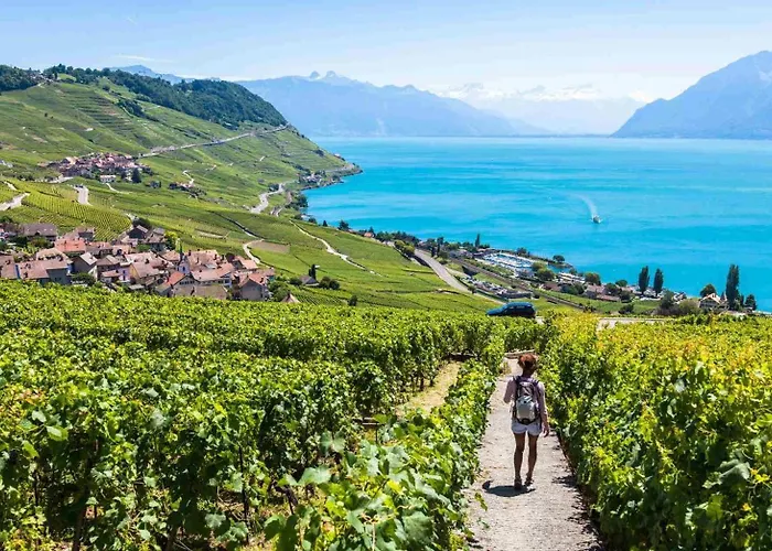 Baron Tavernier Restaurant & 酒店